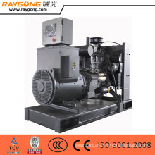 30KVA RAYGONG PE series diesel generator set